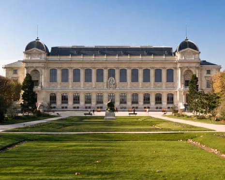 Invaluable Gold Specimens Snatched in Daring Robbery at French Natural History Museum